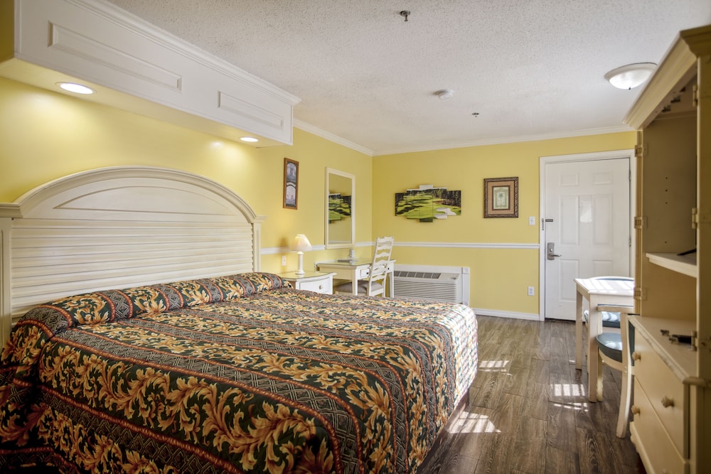 Standard Room, 1 King Bed, Smoking - Photo 4