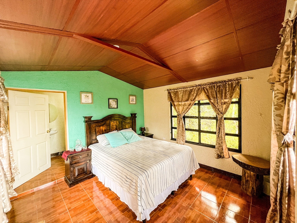 Premium Double Room photo 1