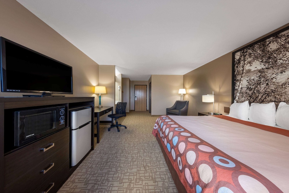 Room, 1 King Bed, Non Smoking (Dog-Friendly) - Photo 2