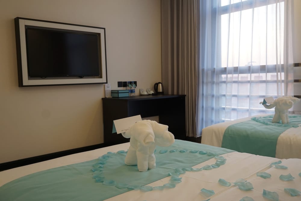 Deluxe Twin Room photo 2