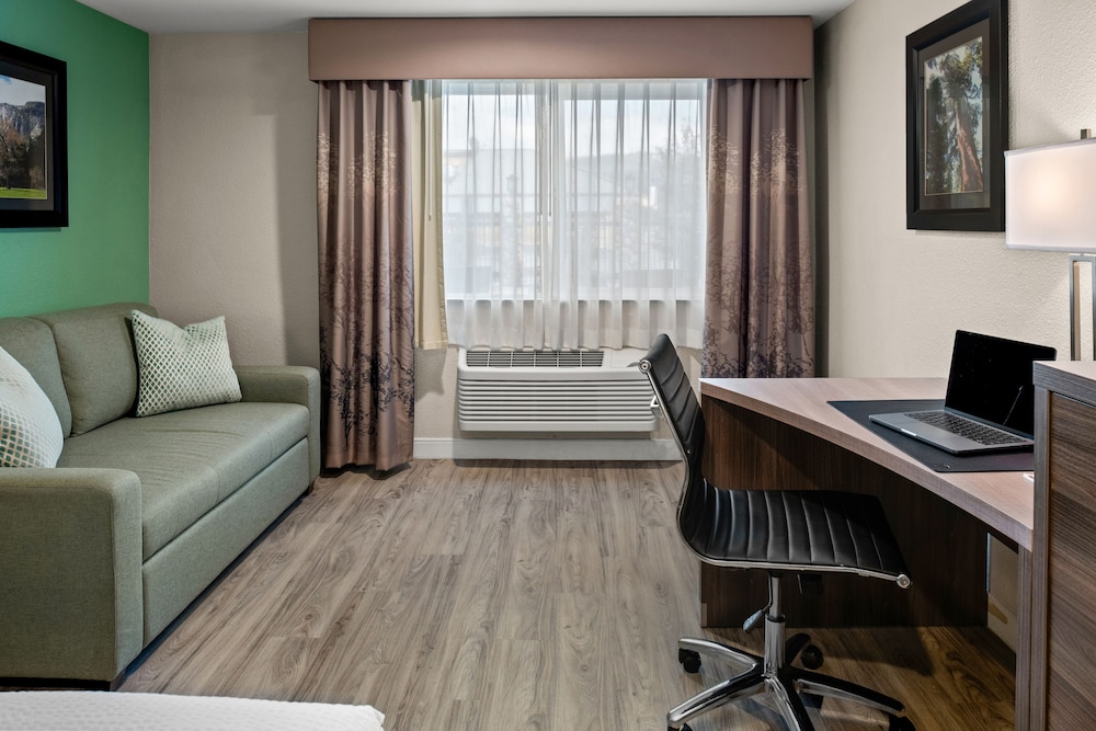 Suite, 1 King Bed with Sofa bed photo 2