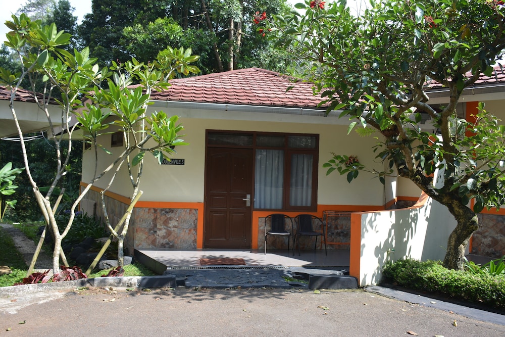 Superior Double Room - Photo 4
