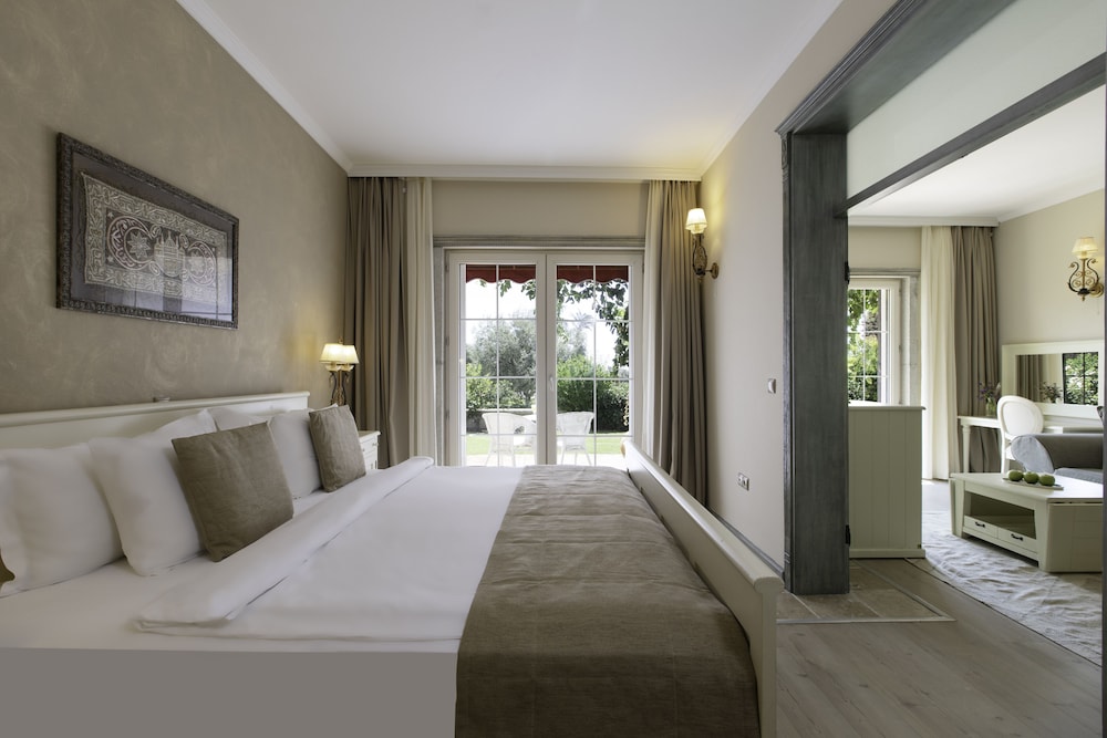 Executive Studio Suite photo 1