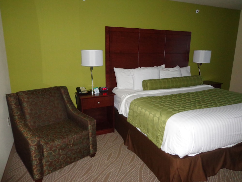 Room, 1 King Bed, Accessible Benched Tub, Non Smoking photo 2