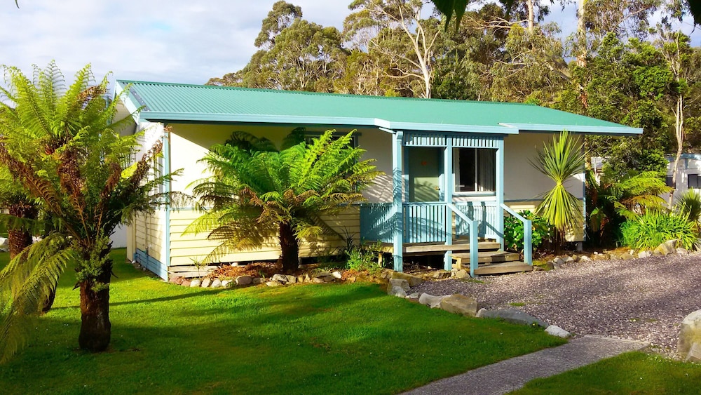 Budget Cabin photo 2