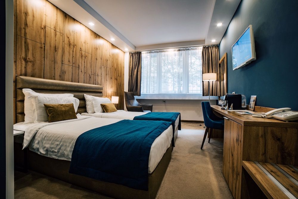 Deluxe Double or Twin Room photo 1