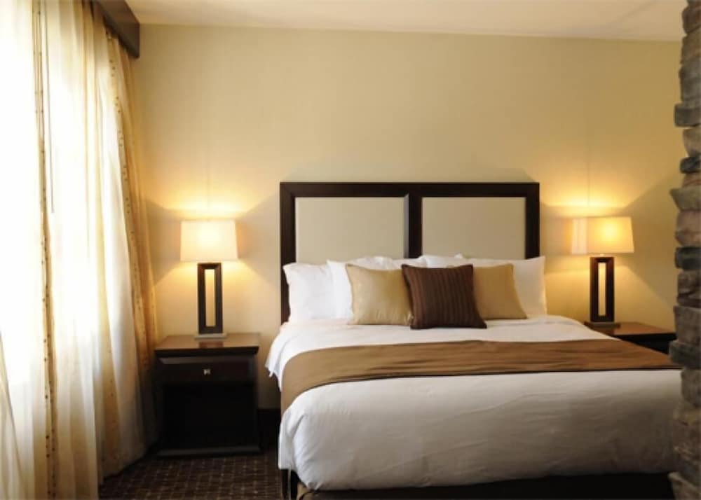 Standard Room, 1 King Bed, Accessible, Non Smoking (Communications) - Photo 2