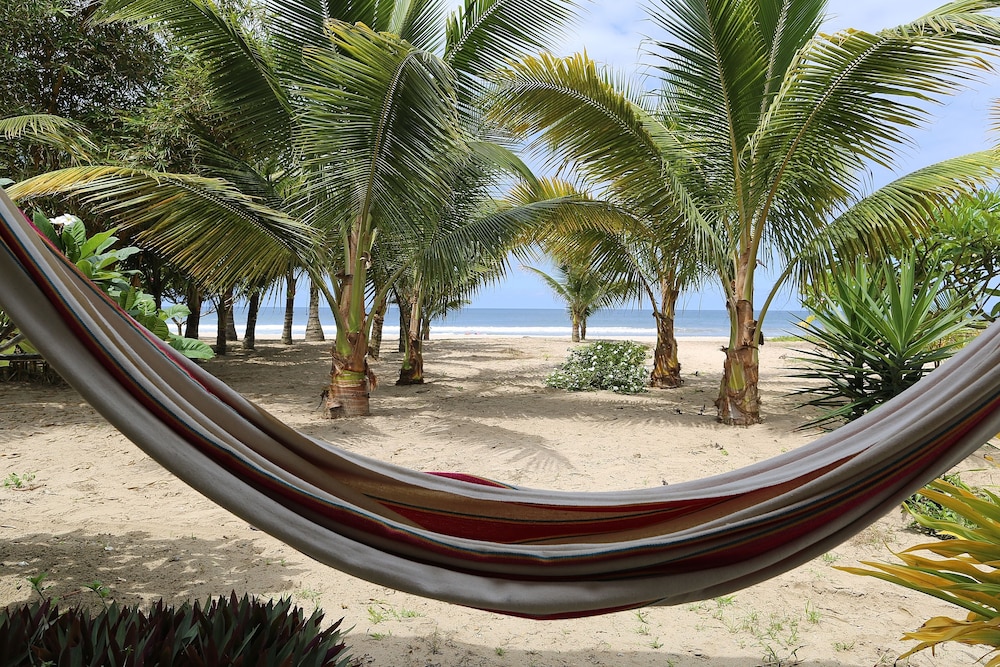 Basic Double Room, 1 Double Bed, Balcony, Beachfront photo 3