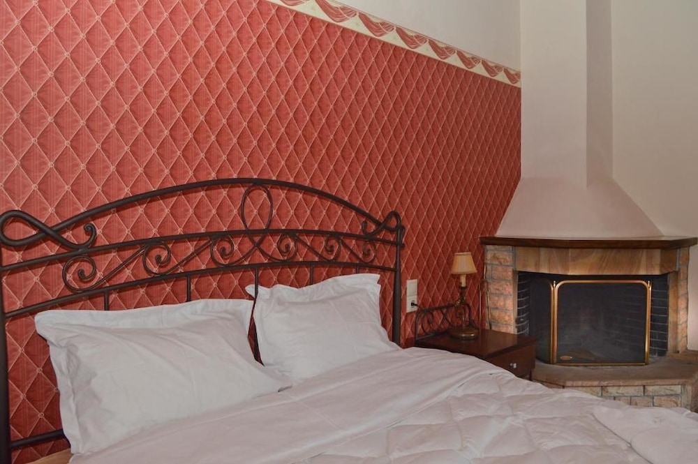 Double Room, Fireplace, Mountain View photo 3