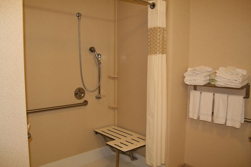 Studio, 1 King Bed, Accessible (Roll-In Shower) - Photo 8