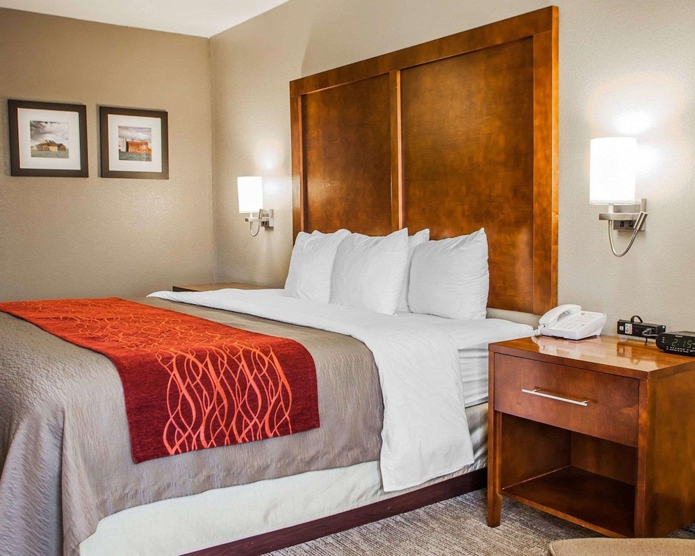 Standard Room, 1 King Bed, Non Smoking - Photo 1