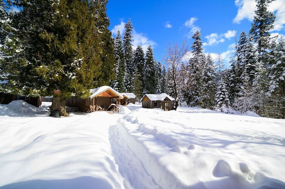 Superior Cabin, 1 King Bed, Fireplace, Mountain View photo 2