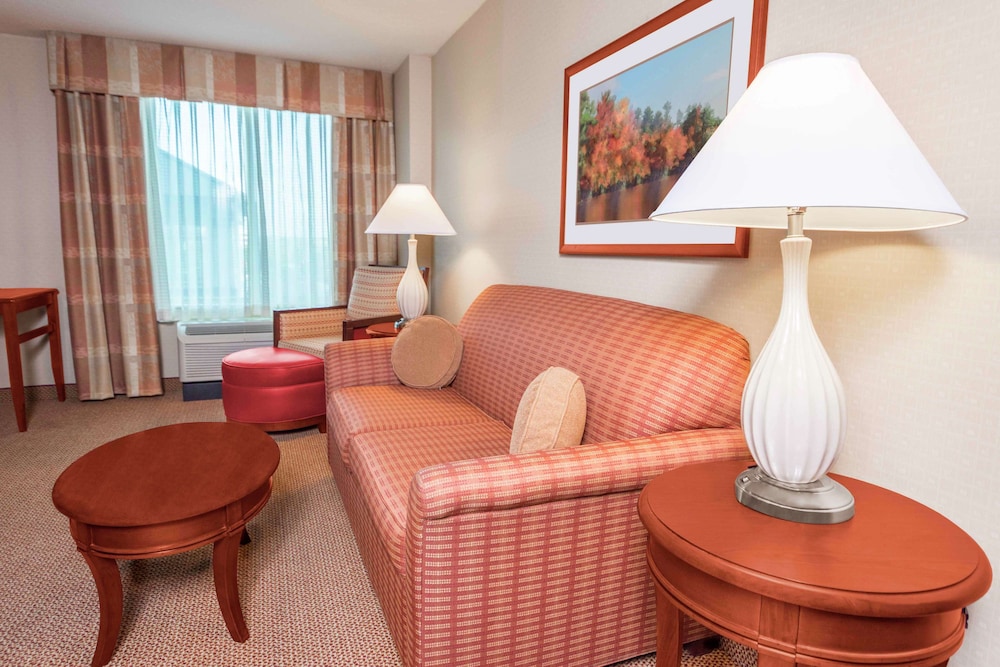Junior Suite, 1 King Bed, Accessible, Bathtub - Photo 4