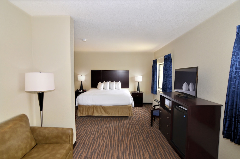 Executive Suite, 1 King Bed with Sofa bed, Non Smoking