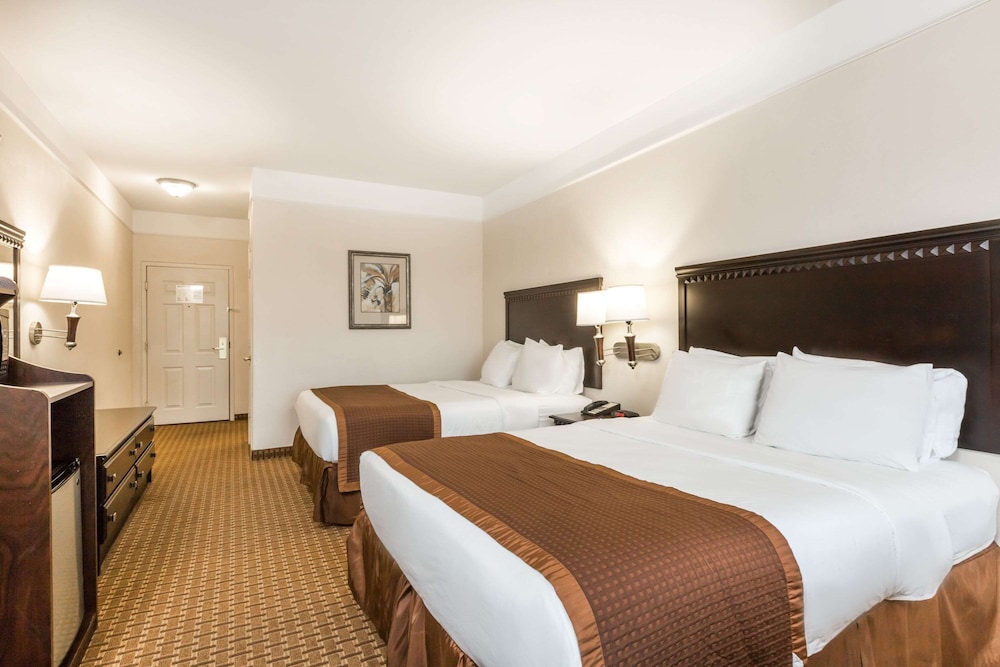 Suite - Photo 1