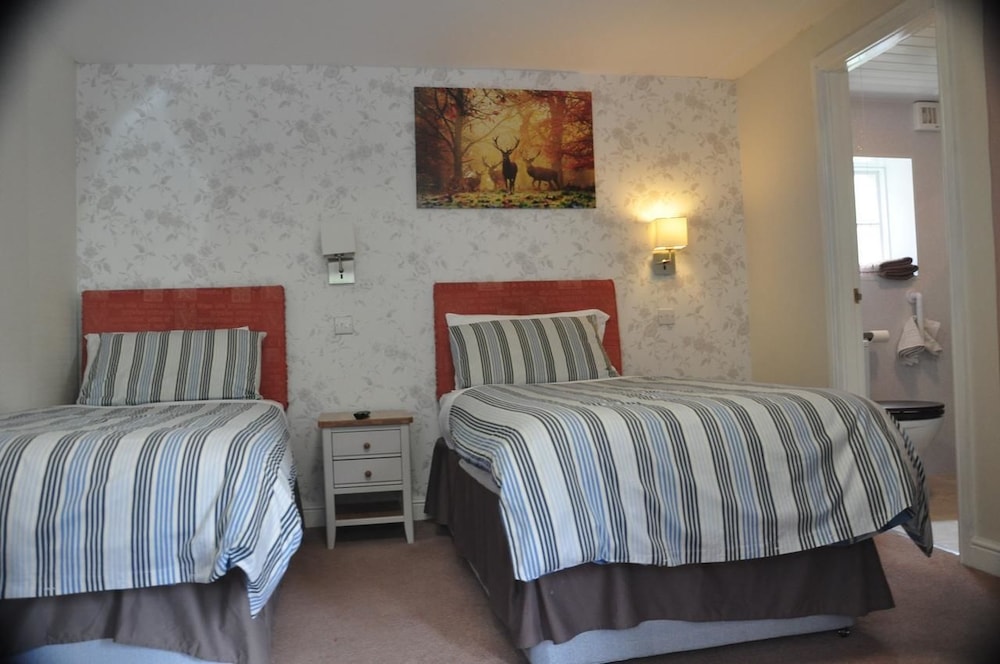 Deluxe Twin Room photo 1