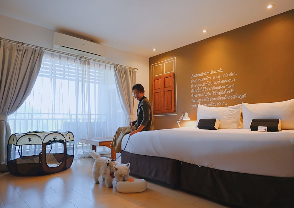 Deluxe Double Room (Pet Friendly) photo 2