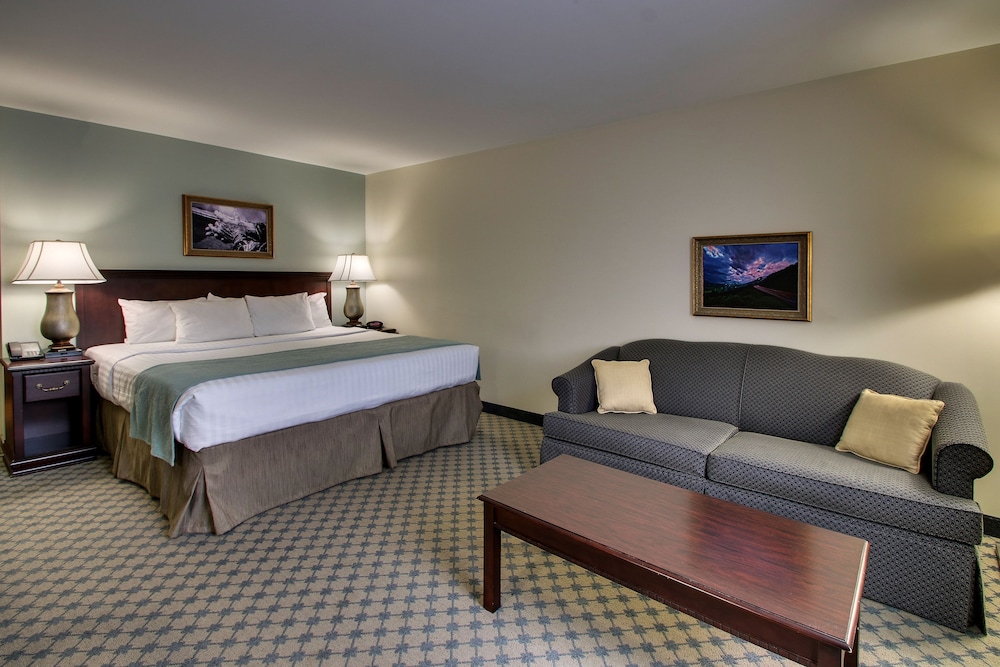 Standard Room, 1 King Bed with Sofa bed photo 1