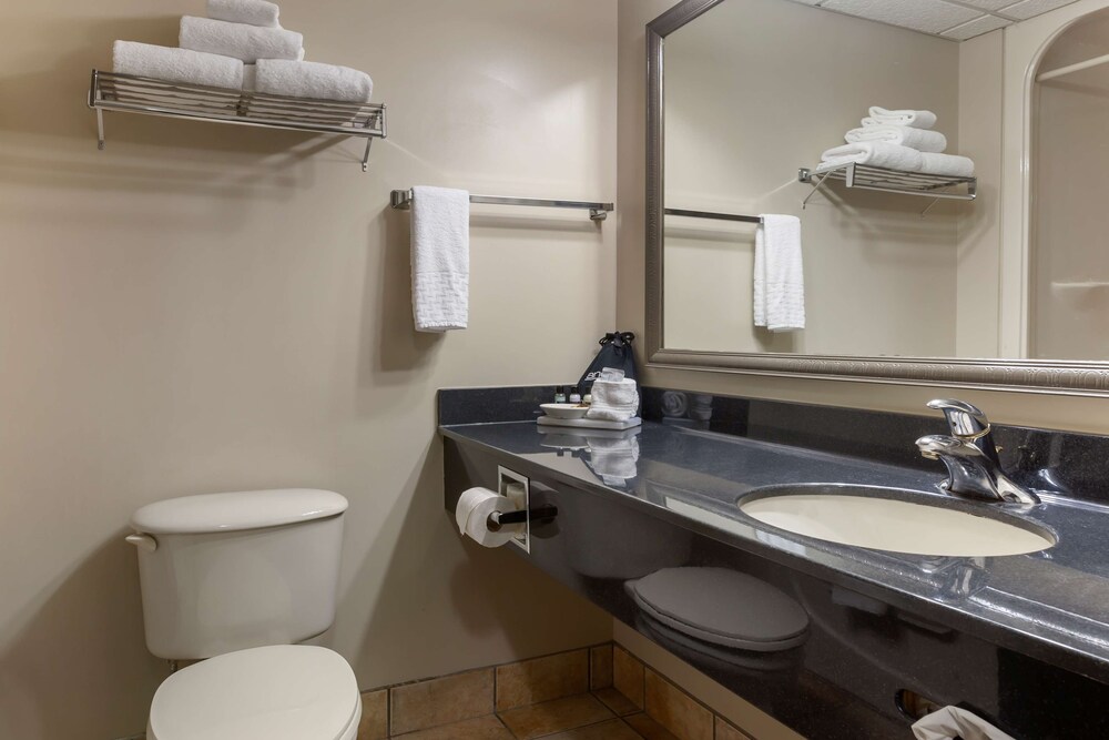 Standard Room, 1 King Bed, Non Smoking, Jetted Tub - Photo 5