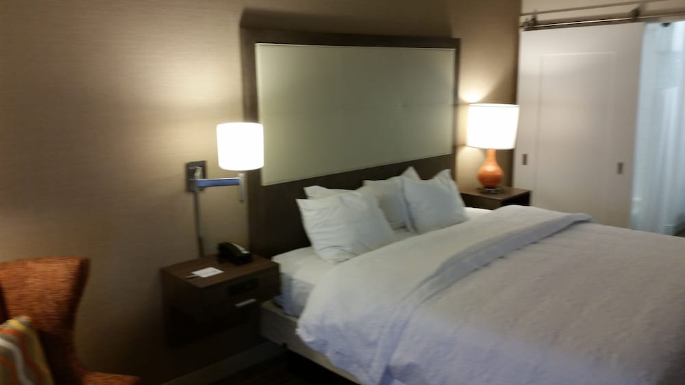Room, 1 King Bed, Non Smoking, Refrigerator & Microwave - Photo 1