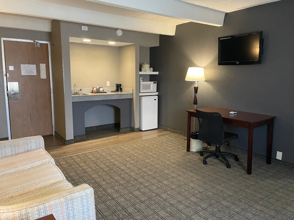 Suite, 1 King Bed - Photo 10