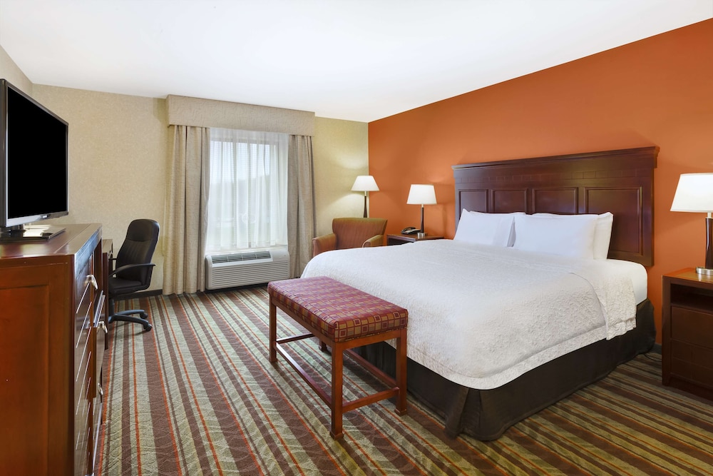 Room, 1 King Bed photo 2