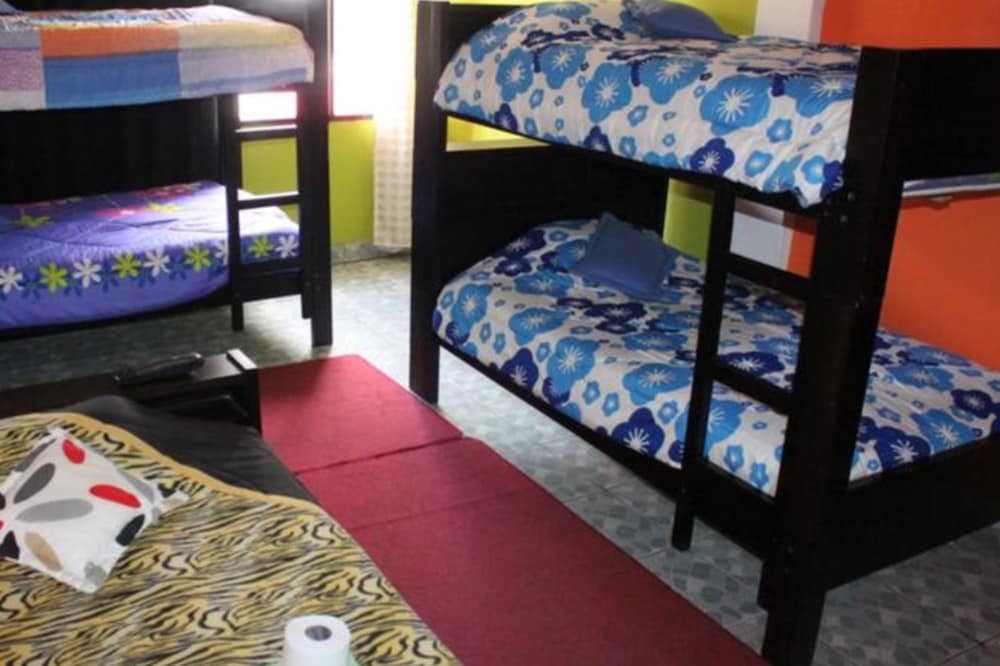 Shared Dormitory, Mixed Dorm, 4 Guests photo 1