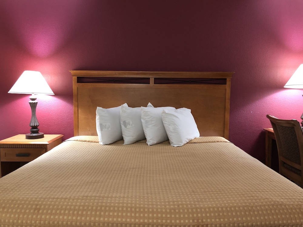 Room, 1 King Bed with Sofa bed, Non Smoking photo 1