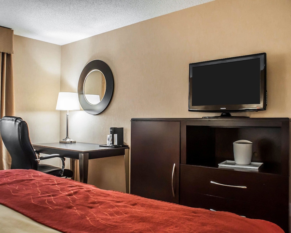 Room, 1 King Bed, Accessible, Non Smoking (Roll in Shower) photo 1