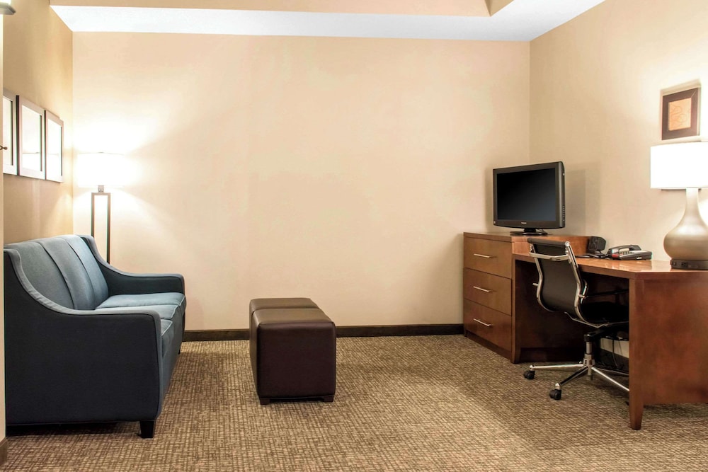 Suite, 1 King Bed with Sofa bed, Non Smoking (Efficiency, Upgrade) - Photo 4
