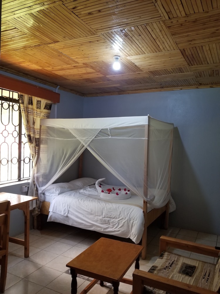 Basic Single Room photo 1