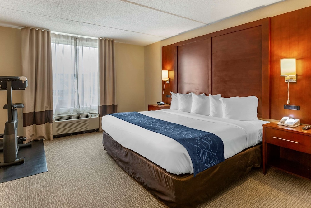 Room, 1 King Bed with Sofa bed, Non Smoking photo 3