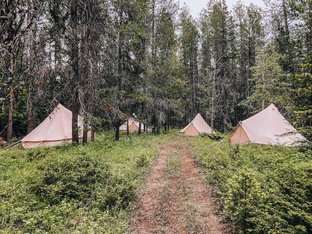 Twin Tent With Shared Bathroom photo 3
