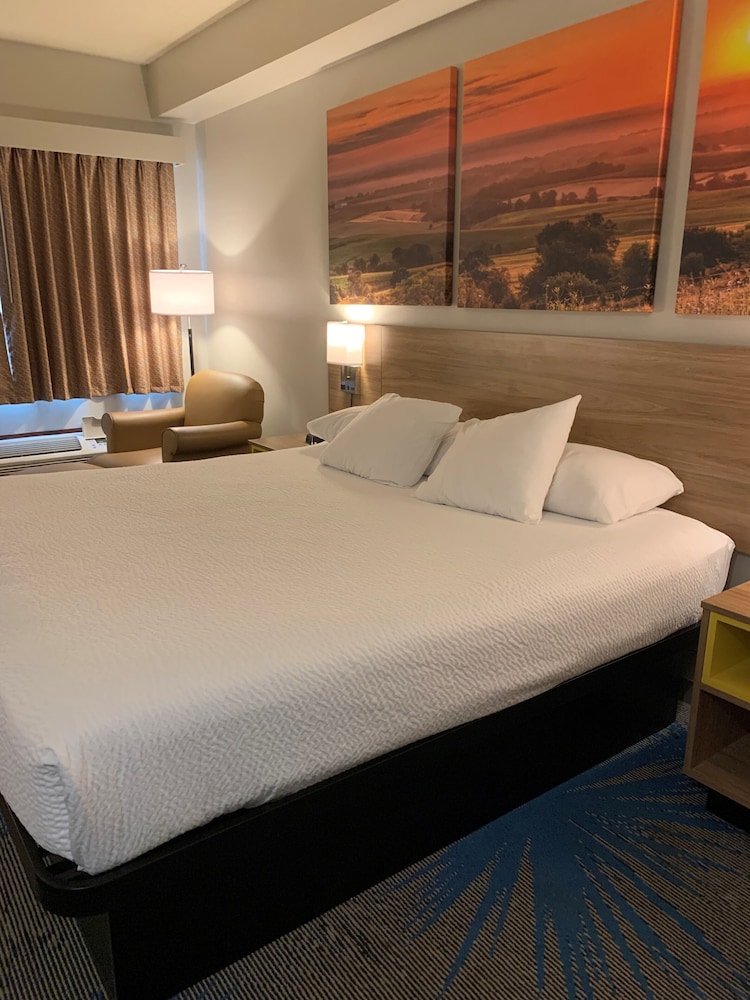 Studio Suite, 1 King Bed, Non Smoking - Photo 4