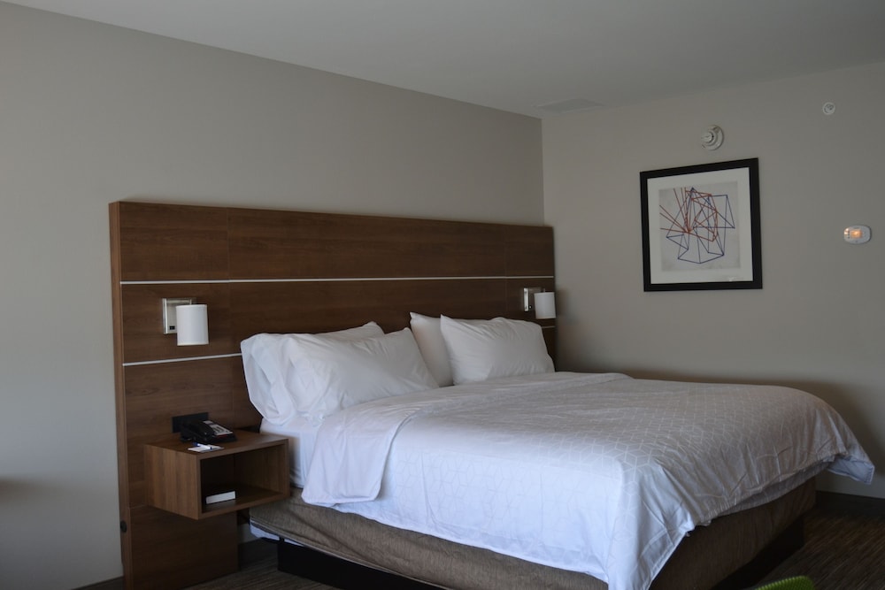 Suite, 1 King Bed with Sofa bed, Accessible (Comm)