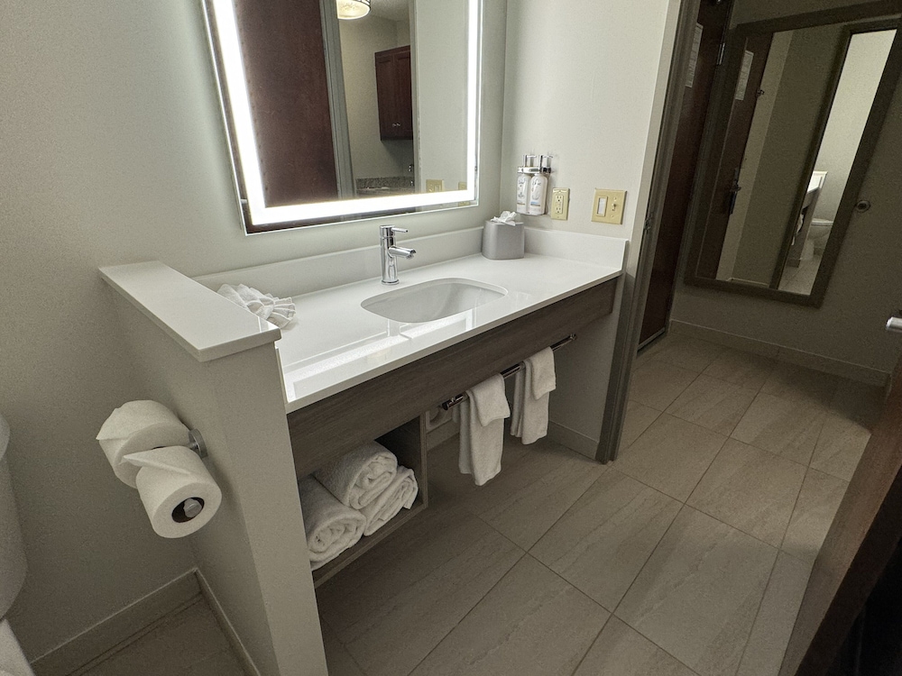 Suite, 1 King Bed - Photo 13