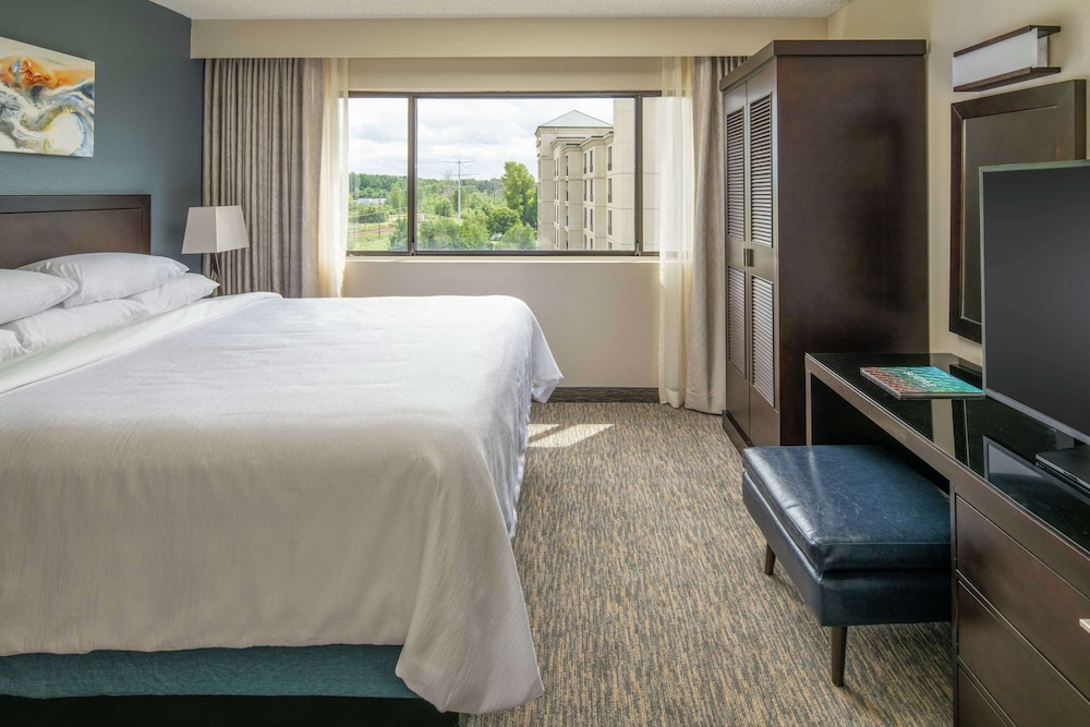 1 King Suite, Mobility/Hearing Access (Bathtub) - Photo 8