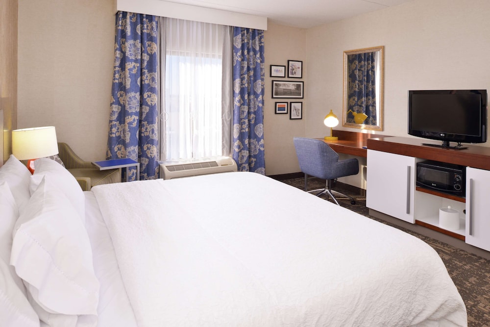 Room, 1 King Bed, Accessible, Non Smoking photo 1