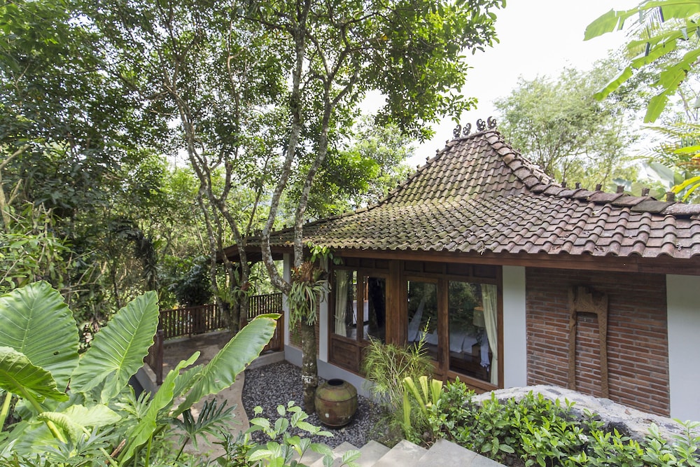 Garden Plunge Pool Villa
