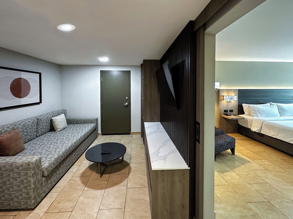 Suite, 1 King Bed