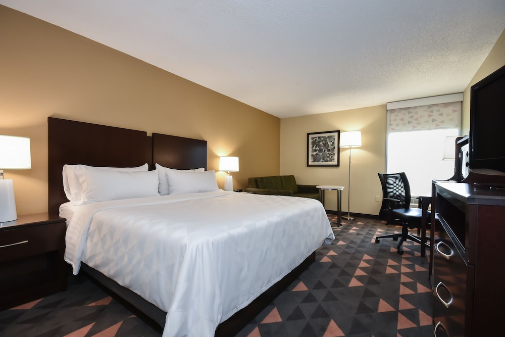 Standard Room, 1 King Bed, Accessible (Mobility Tub) - Photo 1