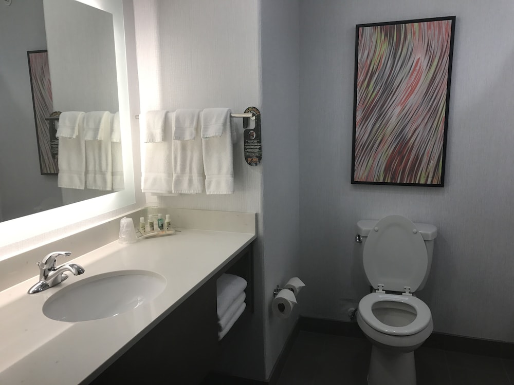 Holiday Inn Abilene - North College Area by IHG, 사진 7