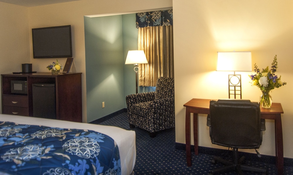 Room, 1 King Bed, Accessible photo 2