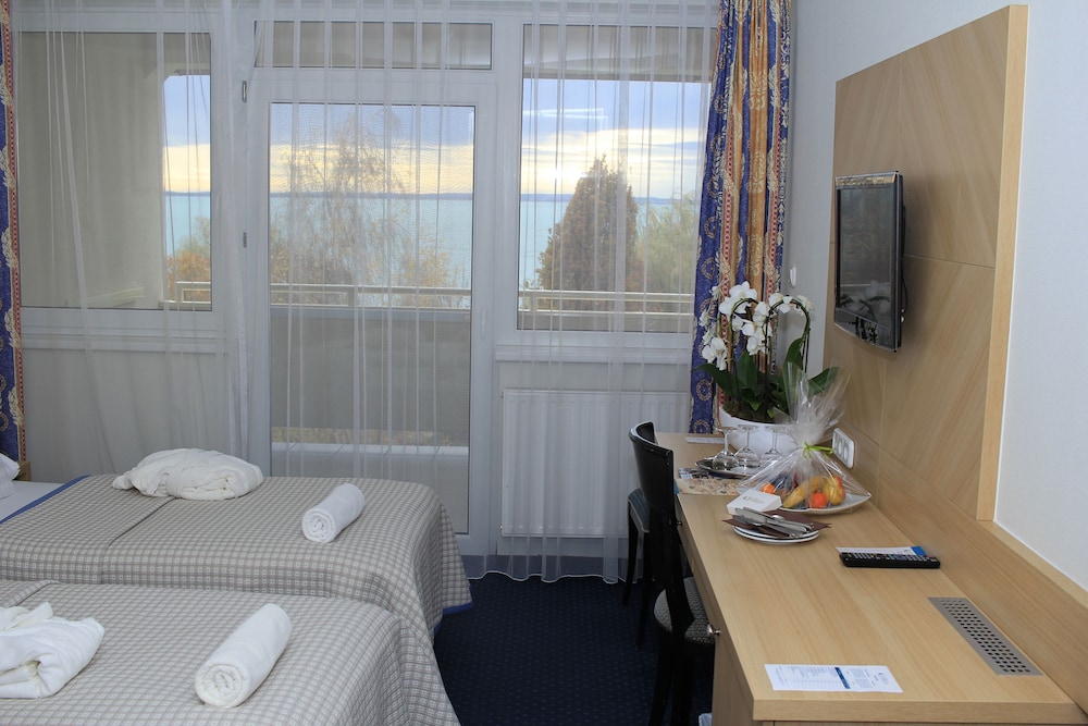 Superior Double or Twin Room photo 2