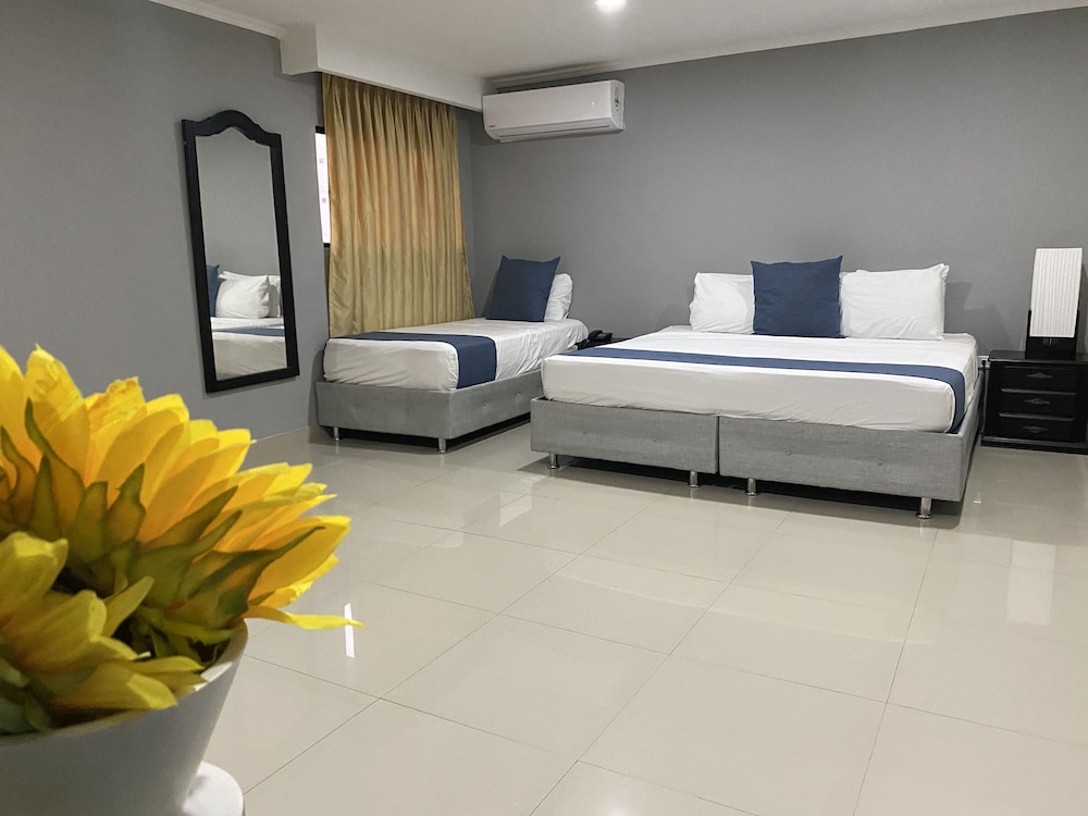 Premier Single Room, 1 King Bed photo 1