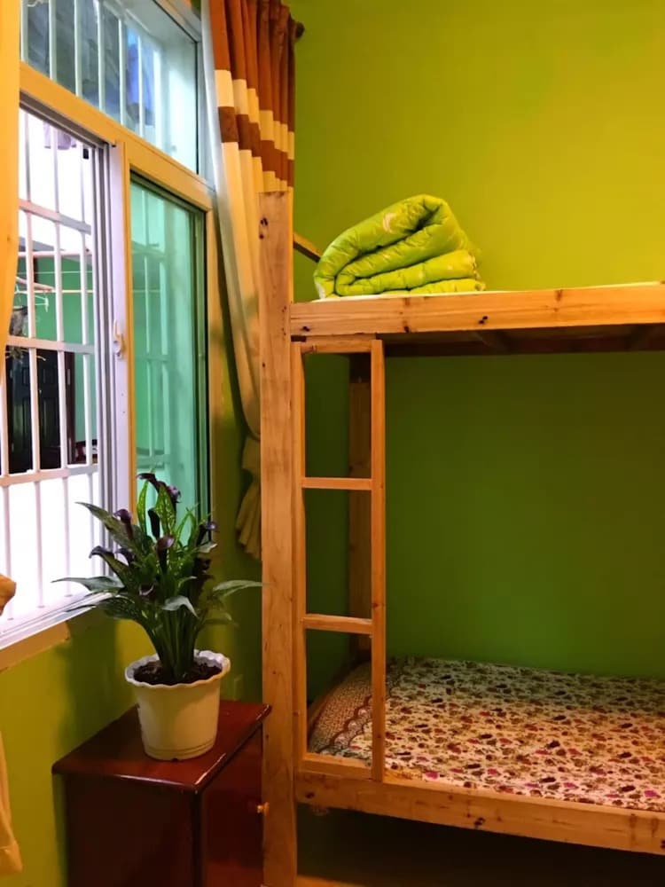 Bed in 6-Bed Female Dormitory photo 1