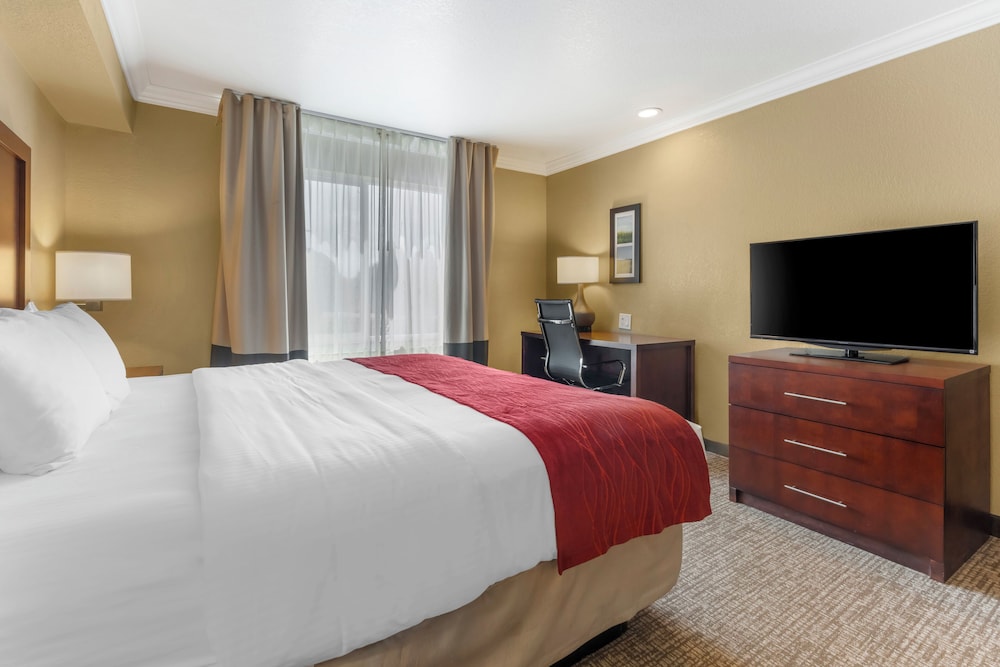 Room, 1 King Bed, Accessible, Non Smoking - Photo 3