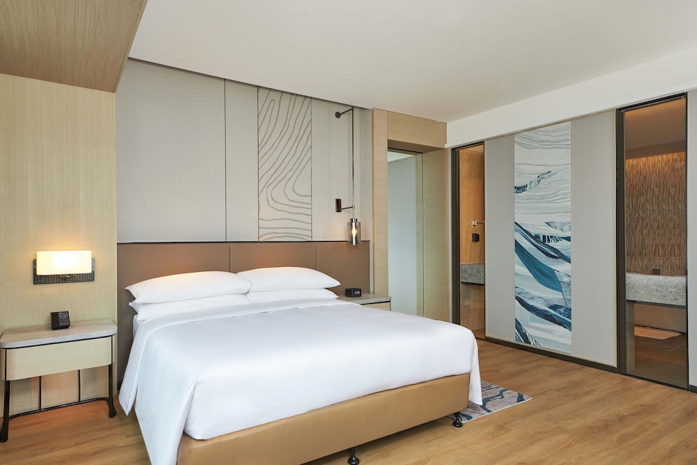 Deluxe Suite, 1 King Bed, City View photo 1