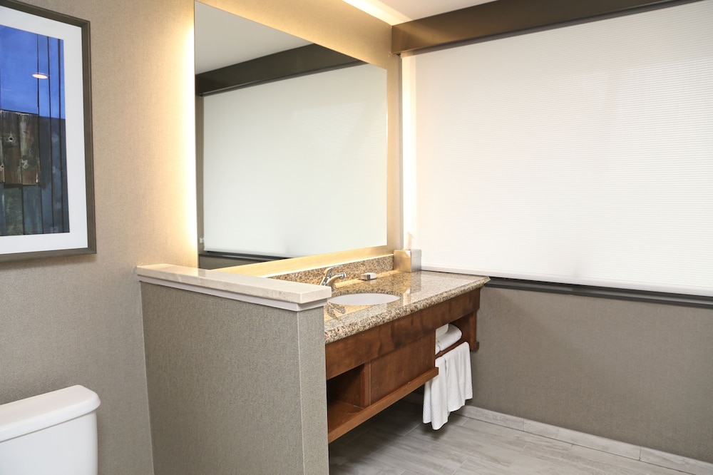 Room, 1 King Bed, Accessible - Photo 6