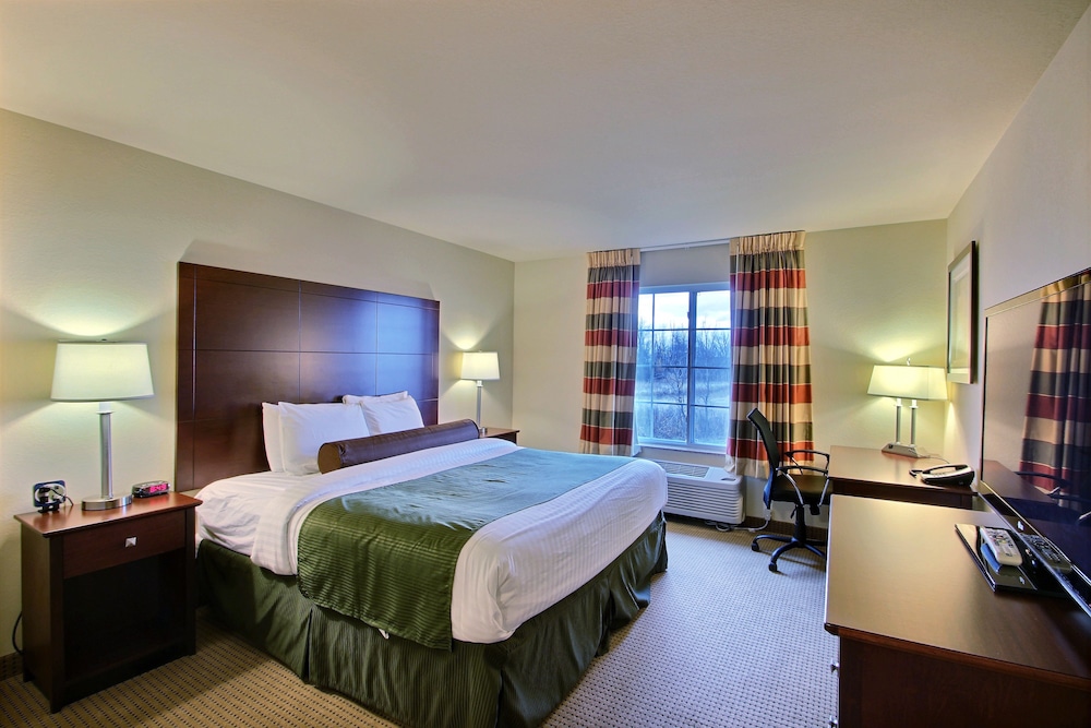 Room, 1 King Bed, Non Smoking photo 3